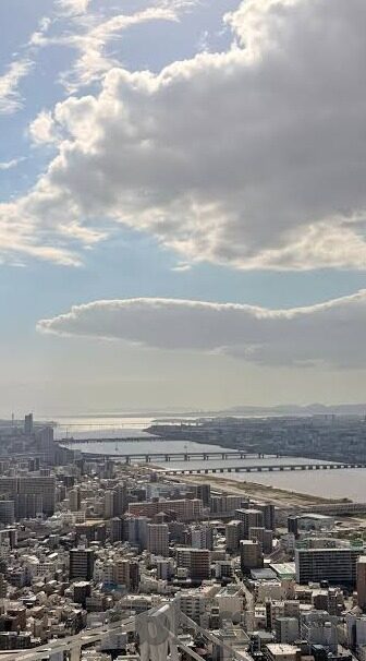 91视频大象传媒-91视频大象传媒，数字时代的文化现象与影响