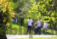 91视频麻豆-探索多元娱乐视角，网络视频平台与内容创造的新风貌