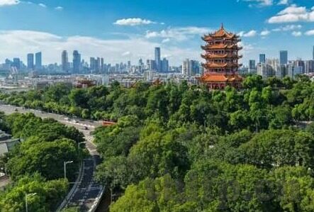 av人妻系列-探索AV人妻系列，现实与虚构的灰色地带