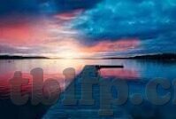 被公侵犯中文字幕-在阴影中绽放的勇气——面对侵犯的自我救赎