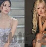 大象传媒官网app下载-探索大象传媒，解锁精彩内容的新窗口