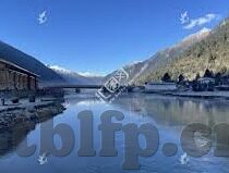 大象视频app最新下载www-探索大象视频APP，最新下载体验与亮点解析