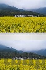 国产av无码精品麻豆-国产影视艺术新篇章，耕耘非色情，打造文化价值
