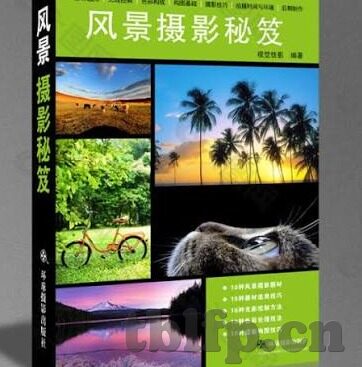 久久久麻豆免费视频-探索网络世界的双刃剑，久久久麻豆视频的正面与反面