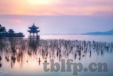 麻豆传媒有限公司视频-麻豆传媒有限公司视频，文化与艺术的碰撞