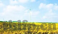 免费麻豆av在线天空传媒-接下来，我们将思索有关网络内容安全与社会责任的话题，而不直接涉足特定的敏感词汇或提供未经授权的内容