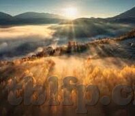 糖心app合集-揭秘，糖心APP合集的多元化魅力
