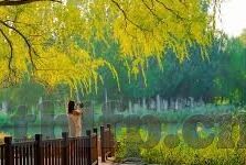 糖心app网站入口-探索数字娱乐，探寻糖心App的精彩体验