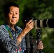 糖心vlog下载官方入口-解锁生活精彩，揭秘糖心Vlog的下载方法