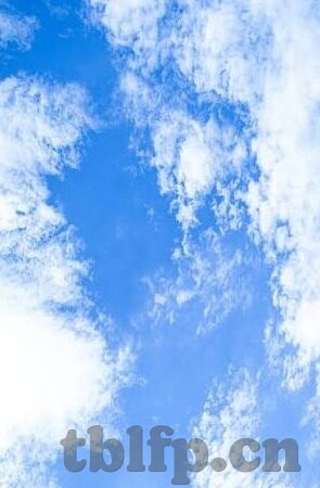 中文字幕第一区-探索中文字幕的魅力，第一区的独特视角